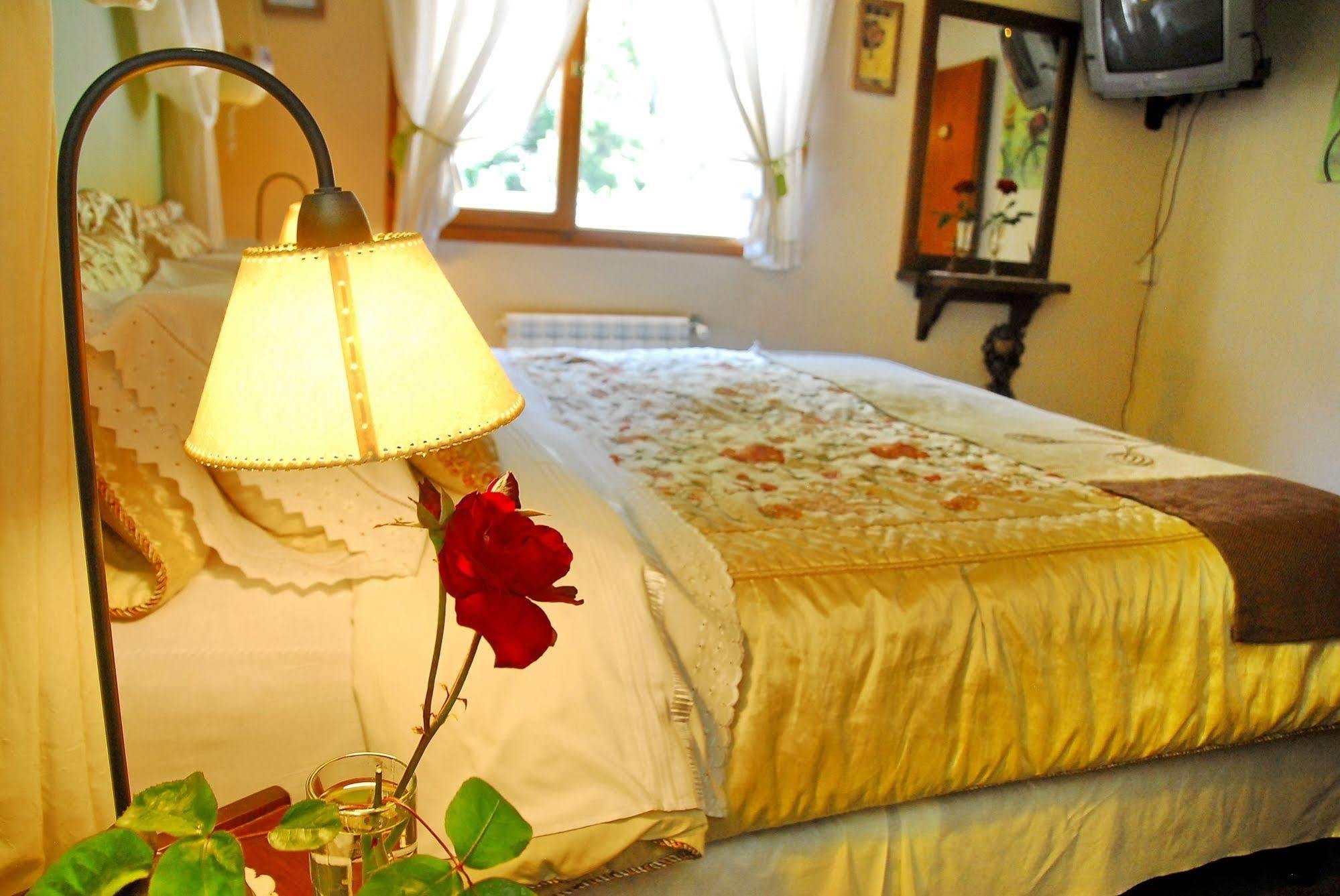 Rotui Apart Hotel San Martín de los Andes Buitenkant foto